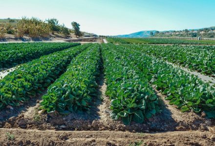 pexels-kindelmedia-7457047-scaled