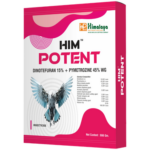 HIM POTENT